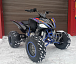 Квадроцикл PROMAX RAPTOR 300 NEW RedBull в Красногорске
