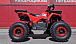 Квадроцикл PROMAX WILD 175 BASIC в Красногорске