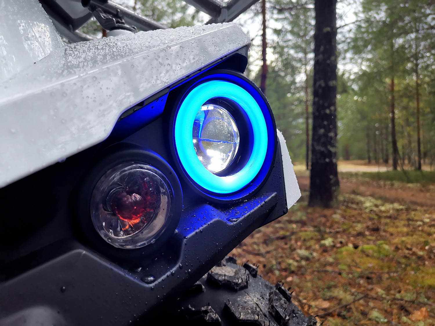 Квадроцикл PROMAX RENEGADE 280 (2025) в Красногорске