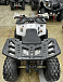 Квадроцикл PROMAX WILD 2.0 190 в Красногорске