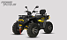 Квадроцикл PROMAX TAURUS 300 MAX-PRO LONG в Красногорске